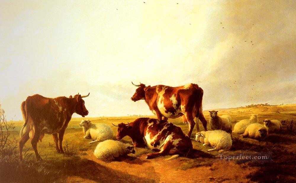 Cattle and Sheep In A Landscape farm animals cattle Thomas Sidney Cooper Oil Paintings